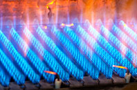Rhosgyll gas fired boilers